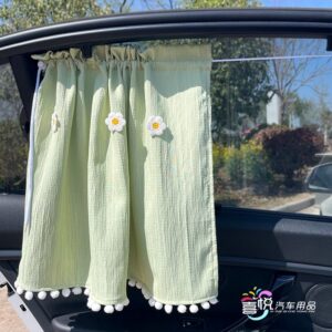 Stylish curtain for car